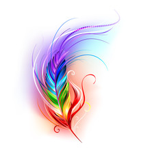Rainbow Feather on White Background