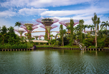 Naklejka premium The Supertree at Gardens by the Bay