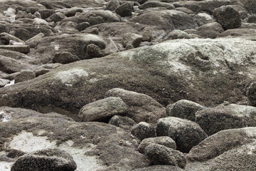 stone bed of the river bed