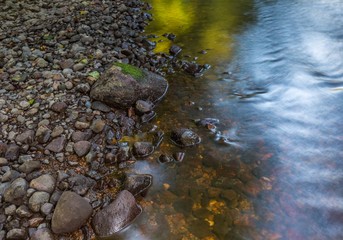 Beautiful landscape with summertime forest and river