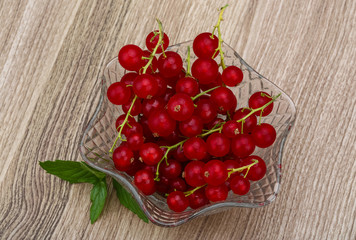 Red currant