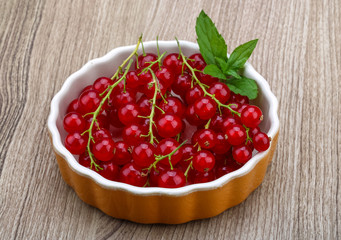 Red currant