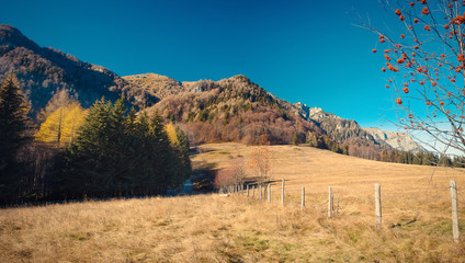 Landscape in Bucegi Mountains, Romania.