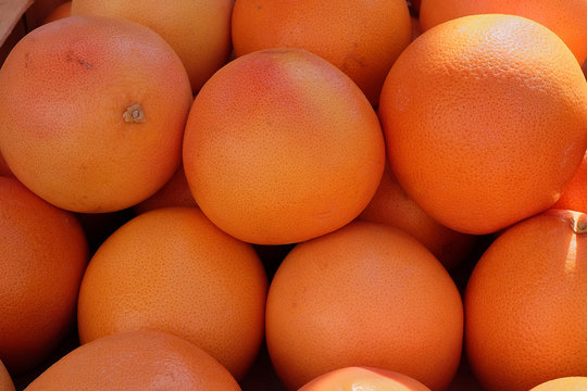pamplemousses
