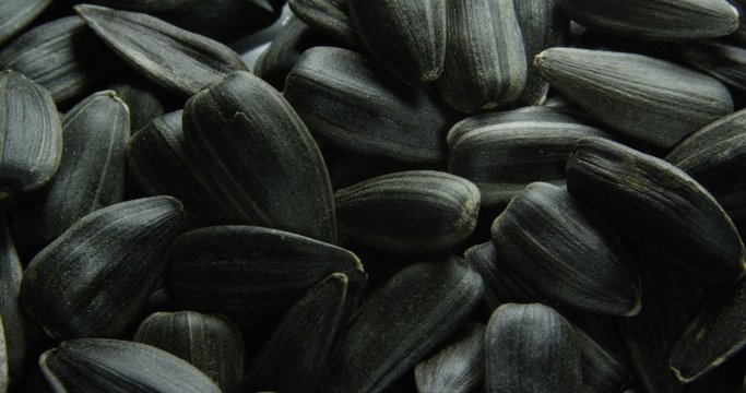 Close up of salted sunflower seeds in their shells. Dolly and rotation, shots on RED.