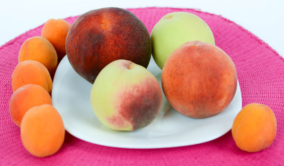 seasonal fruit