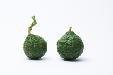 Lime on a white background