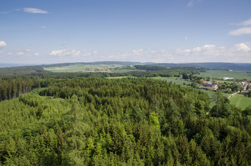 Naklejka premium view from the tower of the forest and village in the background