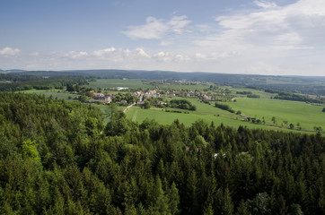 Fototapeta na wymiar view from the tower of the forest and village in the background