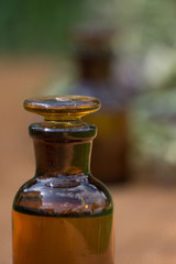 essential oil in little bottle and medical flowers herbs
