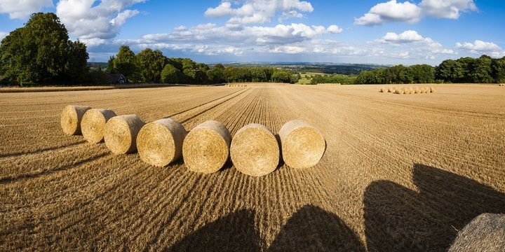 Hay bales in The Cotswolds, Longborough, Gloucestershire 