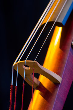 Electric Upright Bass Closeup