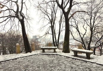 Bare trees and old benches in the snow
