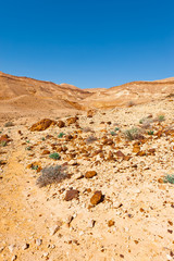 Rocky Hills