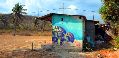 Green Turtle Graffiti on an Island in Indonesia.