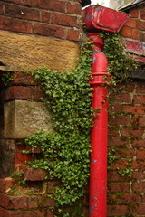 Red Guttering