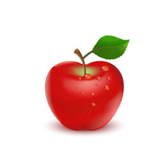 Red apple with green leaves