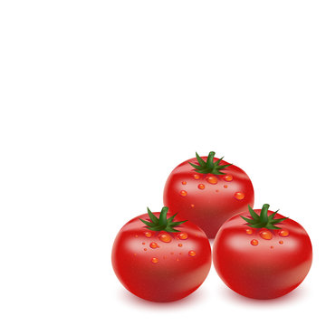 Red big fresh tomato