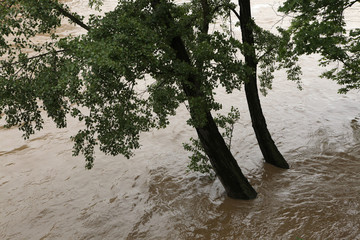 Floods in Prague, Czech Republic, June 2013