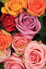 Multicolored wedding roses