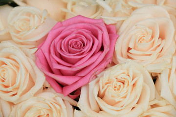 Wedding roses