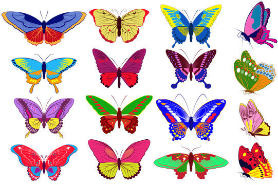 Vector set of colorfull  butterflies