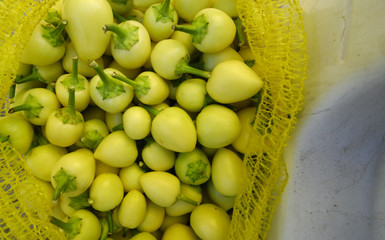 Fresh green paprika at open market for sale
