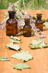 essential oil in little bottle and medical flowers herbs