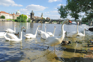 View of Prague 