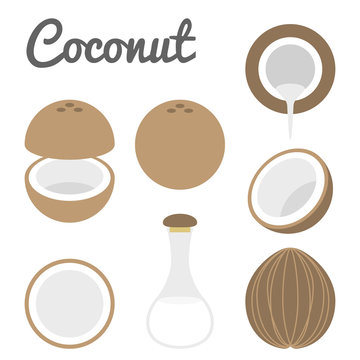 Vector coconut icon