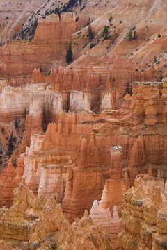 Thor's Hammer, Bryce Canyon National Park, Utah