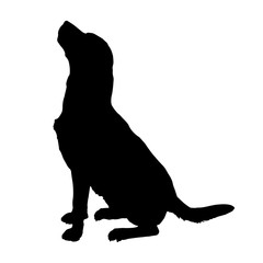 Vector silhouette of a dog. - 88331086