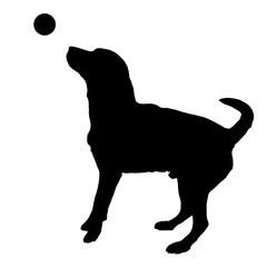 Vector silhouette of a dog.