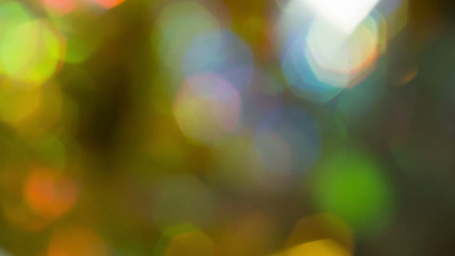 Warm colourful real photographic bokeh lights abstract background, spinning clockwise in seamless loop.