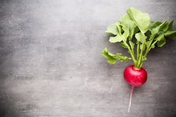 Radish. © gitusik