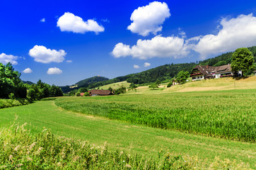 Nature. The countryside in Germany.