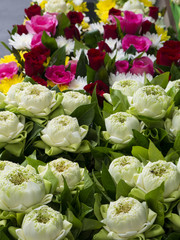 Bouquet of flower