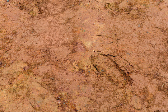 Shoe print in soil, abstract textured
