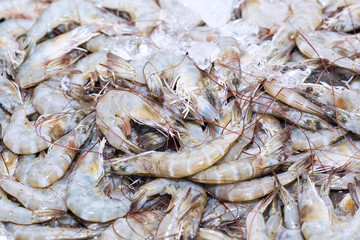 Fresh shrimps on ice exposition at the seafood market In Thailan