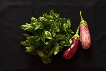 beautiful green basil with eggplant on a black background