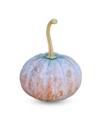 Raw thai pumpkin on white background