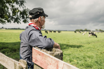 Elderly farmhand watching a herd in a pasture