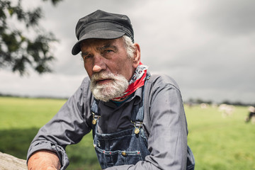 Fototapeta premium Elderly farmer leaning on a paddock fence