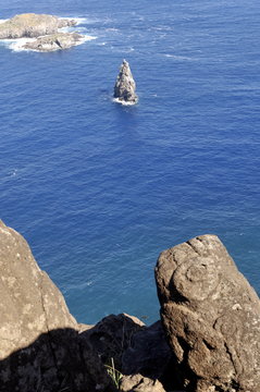 Petroglyphs beside the lake in a crater at Orongo, Easter Island, Chile