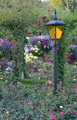 Lamp in summer flower garden
