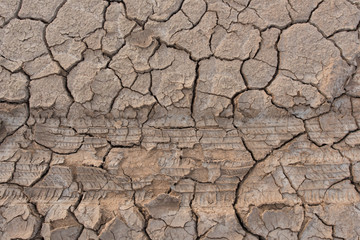 Wheel trace of a tyre on driedland
