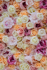 Background of Roses. Decorations at the Wedding Ceremony.
