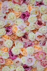 Background of Roses. Decorations at the Wedding Ceremony.