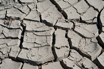 Ground dried by the sun covered with cracks
