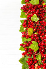 Red currant. Vertical edge